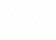baja shark logo