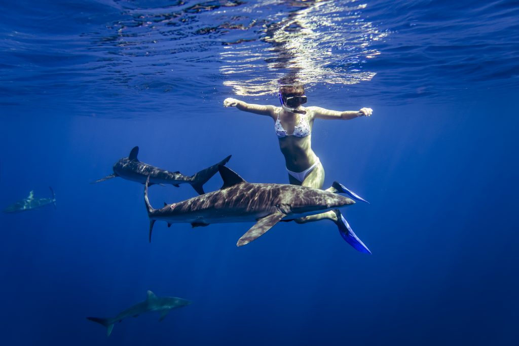 girl getting closer to a shark