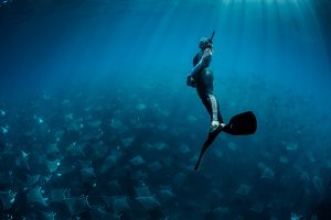 Free diving with Mobula Ray